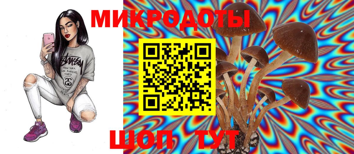 Псилоцибиновые грибы GOLDEN TEACHER Астрахань