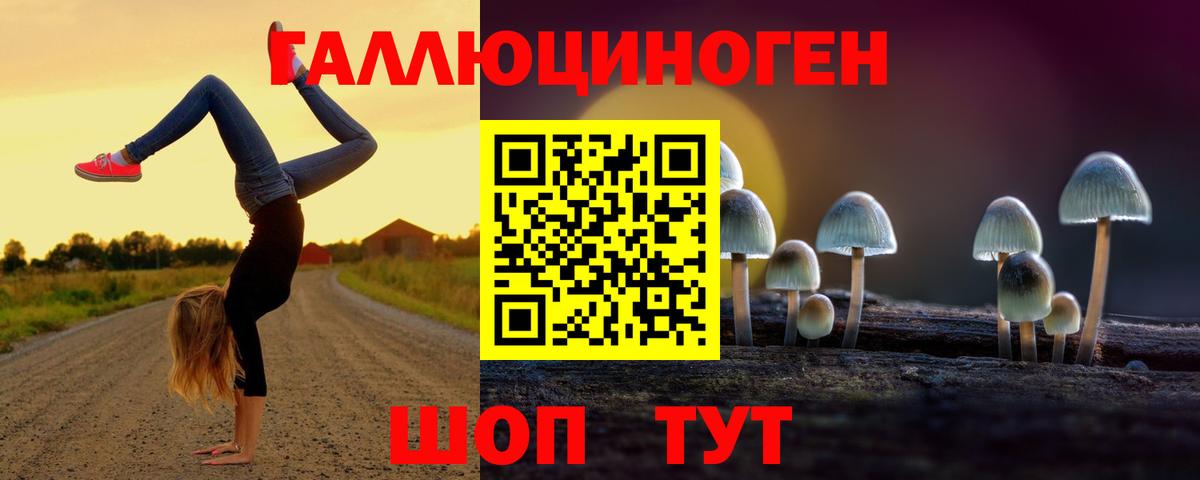 как найти закладки  Псилоцибиновые грибы прущие грибы  Вход с VPN  Астрахань 
